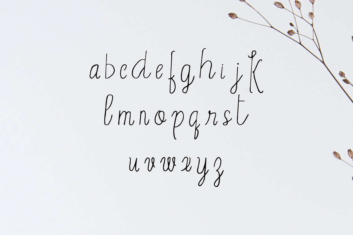 Erica Script Font preview 3