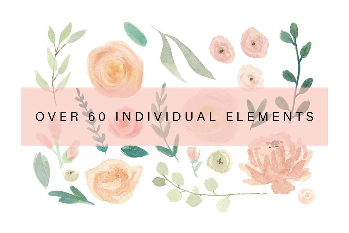 Rosa Moderna: Watercolor Floral Set, an Illustration by Aesthetic Printables (Photo 6 of 7)