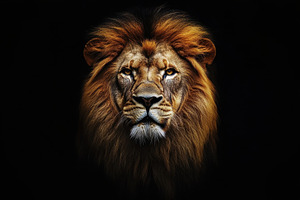 Majestic lion head against a black, a Photo by Pavel_design