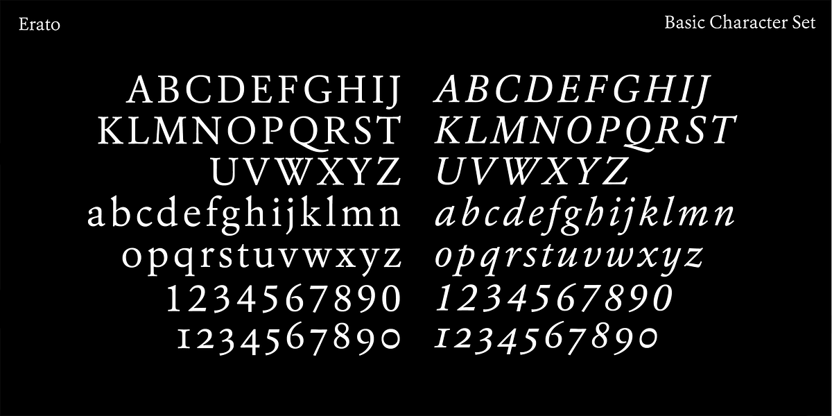 Erato, a Serif Font by Hoftype (Photo 7 of 15)