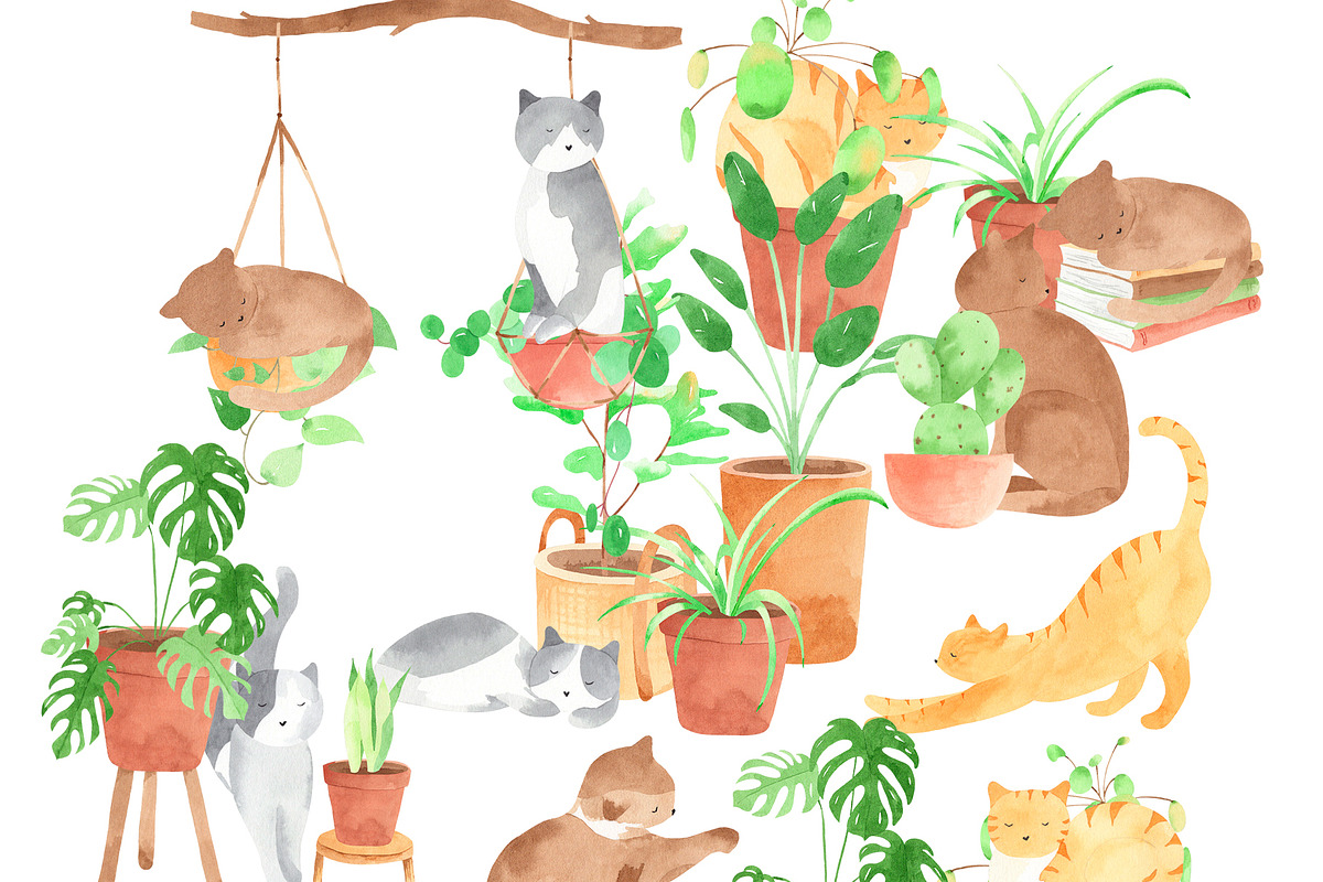Plants & Cats Watercolor Clipart, an Animal Illustration by natalisart (Photo 2 of 13)