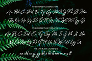 The Overleys, a Script Font by Fargun Studio (Thumbnail 8 of 8)
