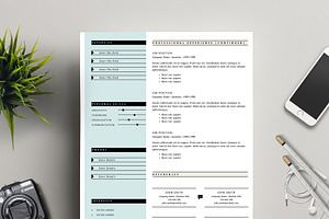 Minimalist Resume For MS Word