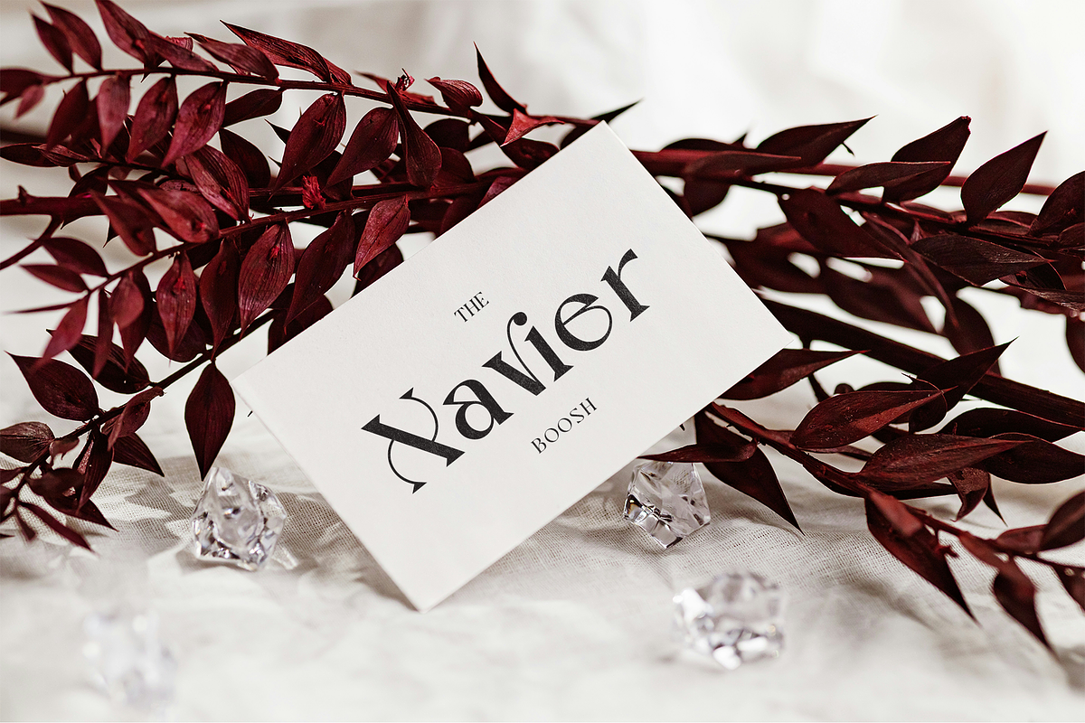 Nagishe Soinetha Moderen & Elegance, a Serif Font by BOOSH Studio (Photo 8 of 13)