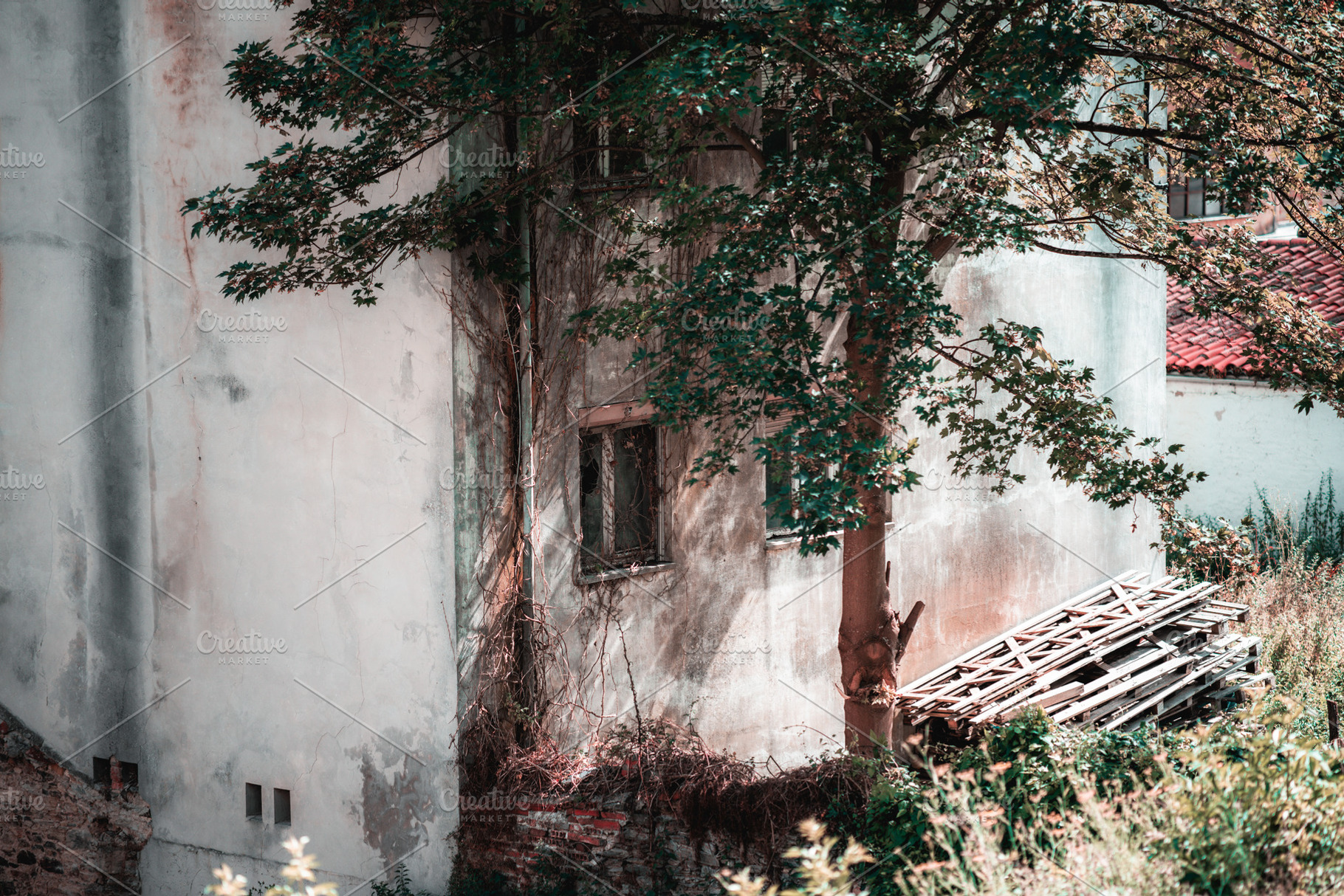 Shaded Old Spanish Courtyard, an Architecture Photo by SkyNext