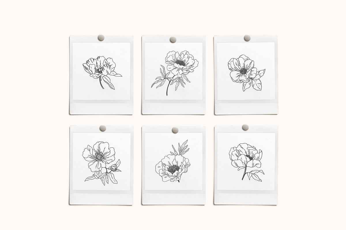 Peonies Vector Illustrations, a Decorative Illustration by Emma Webb Studio (Photo 9 of 9)