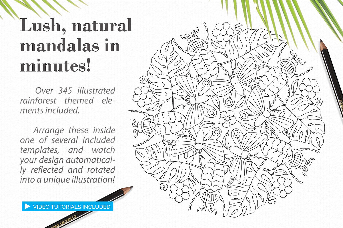 Rainforest Illustration Creator, a Plug-in Add-On by Drifter Studio (Photo 4 of 9)