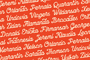 Brocades - Crafted Font, a Sans Serif Font by Edignwn Type (Thumbnail 8 of 9)