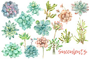 Succulent and Cactus collection, an Illustration by IvanFet (Thumbnail 2 of 10)