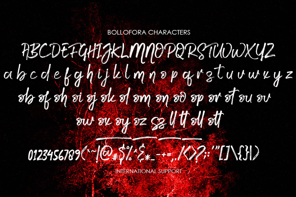 Bollofora - Brush Font, a Script Font by Akifatype. (Photo 6 of 6)