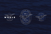 Polygonal Whale Logo Set, a Branding & Logo Template by blauananas (Thumbnail 6 of 9)