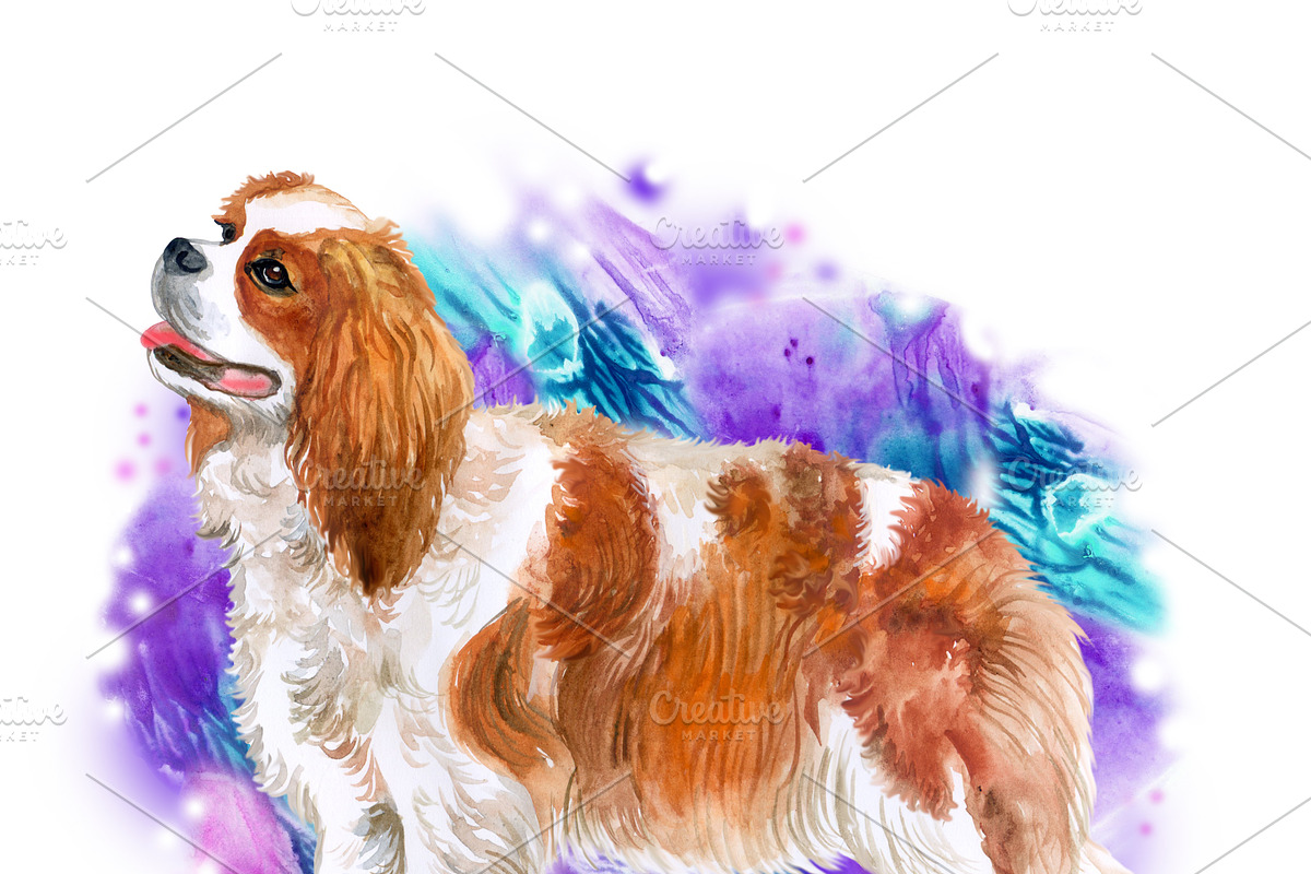 Watercolor Dogs Mega Big Bundle, an Illustration by Dneprstock (Photo 15 of 60)