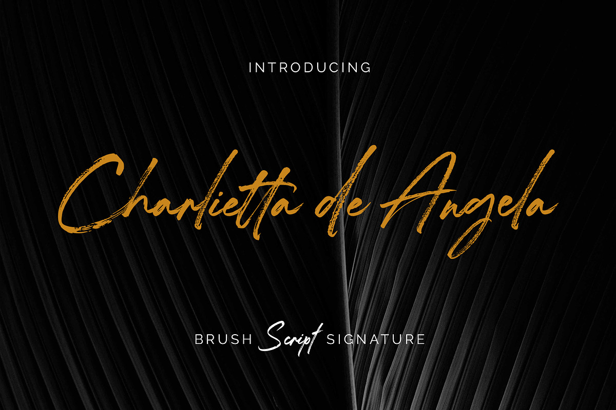 Charlietta de Angela - Brush Script, a Script Font by Almarkhatype (Photo 1 of 10)