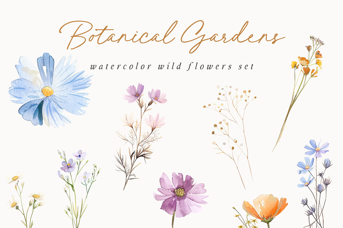 New! Wild Flowers Edition, a Seasonal Illustration by Isabelle Salem (Photo 14 of 155)