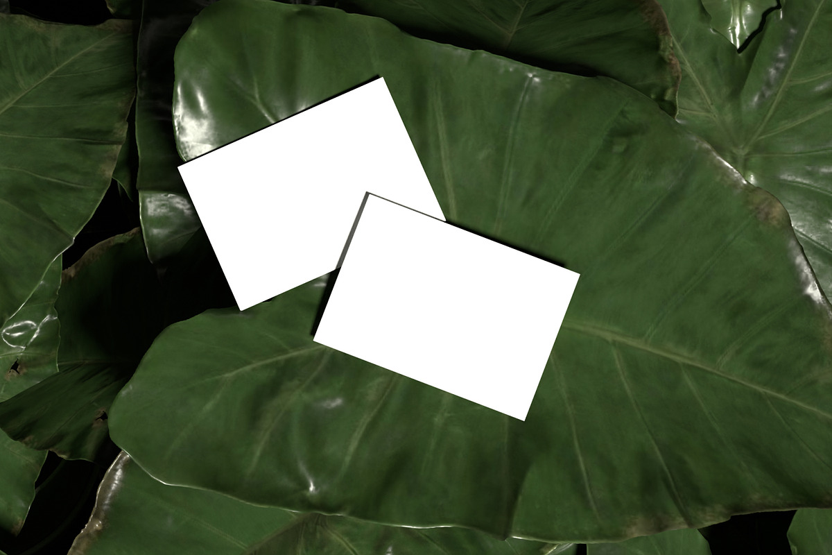 Business Card Mockup, an Advertising Mockup by Unerispace (Photo 3 of 5)