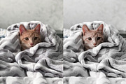 Stylish presets for Lightroom Mobile, an Action Add-On by kostanashvili (Thumbnail 5 of 5)