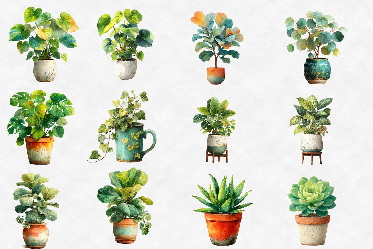 Watercolor House Plants clipart, an Illustration by Designworld (Photo 2 of 6)