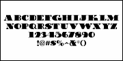 Show Card Serif JNL, a Serif Font by Jeff Levine Fonts (Thumbnail 3 of 5)