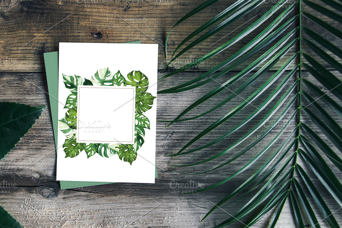 Watercolor jungle set, an Illustration by Watercolor & sketches (Photo 11 of 13)