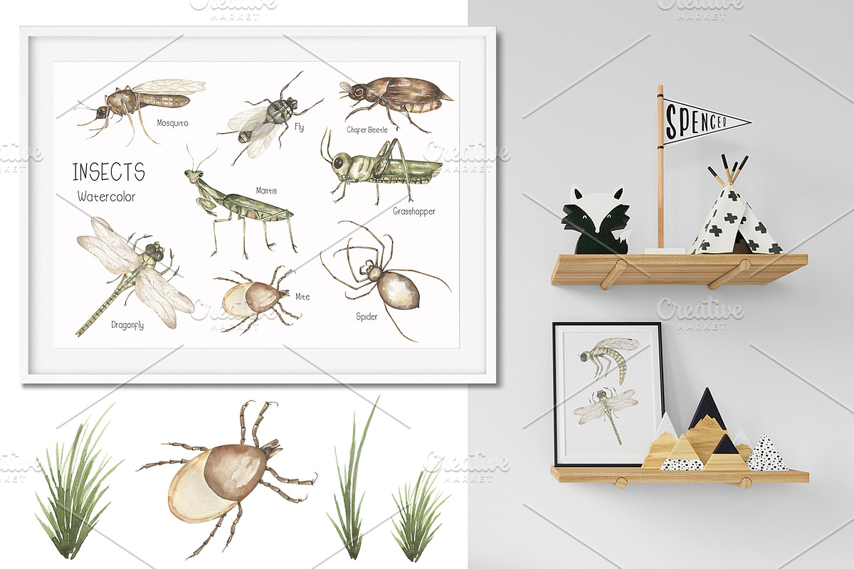 Watercolor Life Cycle Bundle 2, an Education Illustration by MayaNavits (Photo 8 of 14)