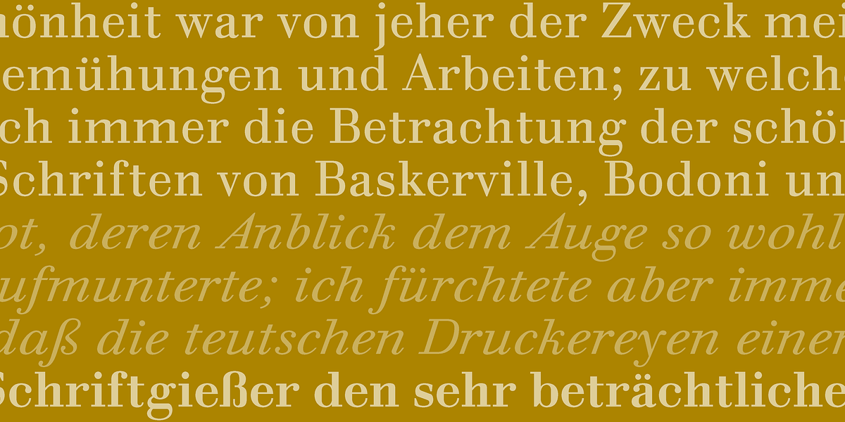 Prillwitz PRO, a Serif Font by preussTYPE (Photo 5 of 9)