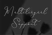 Hardyela Sandert Ballpoint Signature, a Script Font by Storytype Studio (Thumbnail 2 of 15)