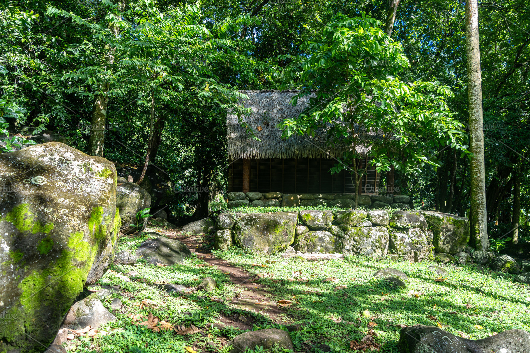 Thatched-roof building at Kamuihei archaeological site, Nuku Hiv, a Nature Photo by GoodGoods