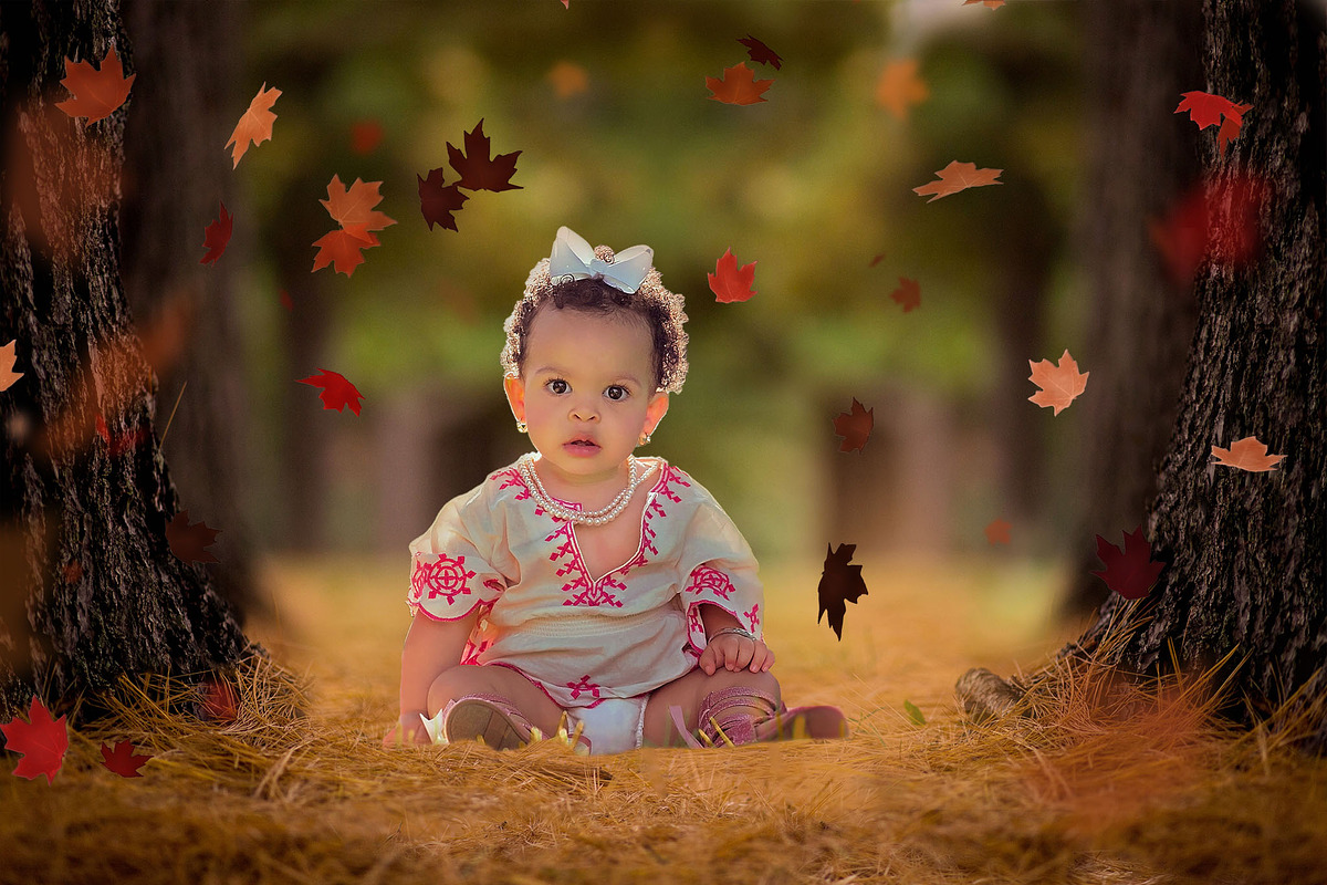 Leaf Overlays - Autumn Splender preview 2