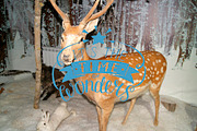 JOY of CHRISTMAS set, an Illustration by Ola-la-la (Thumbnail 11 of 12)