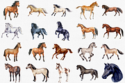 Watercolor Horse Clipart Set, 38 PNG, an Animal Illustration by CropUp Creative (Thumbnail 2 of 4)