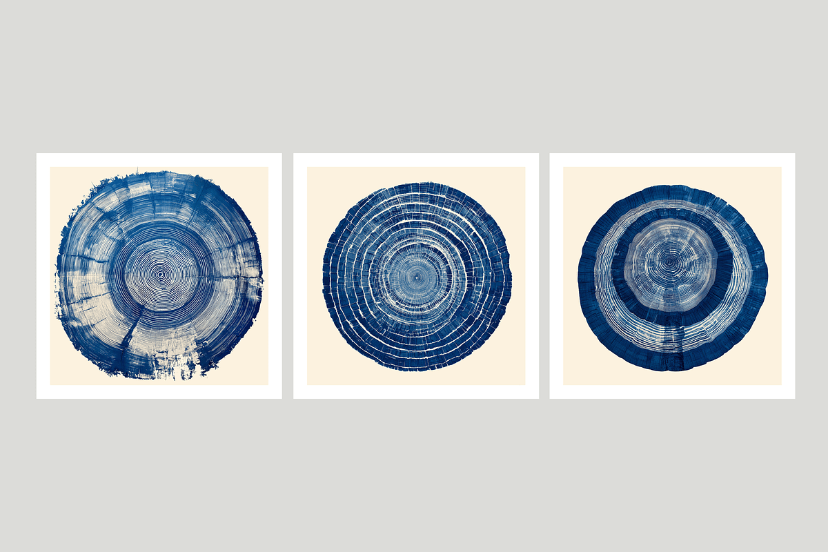 Natt Collection · Organic Tree Rings, a Texture Illustration by milatovar (Photo 4 of 19)