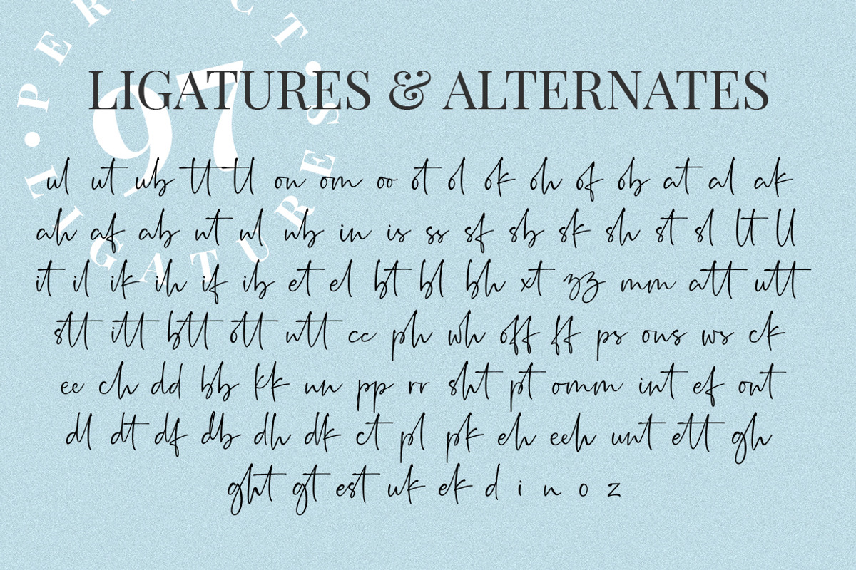 Rushtick Signature Font, a Script Font by Ef Studio (Photo 8 of 9)
