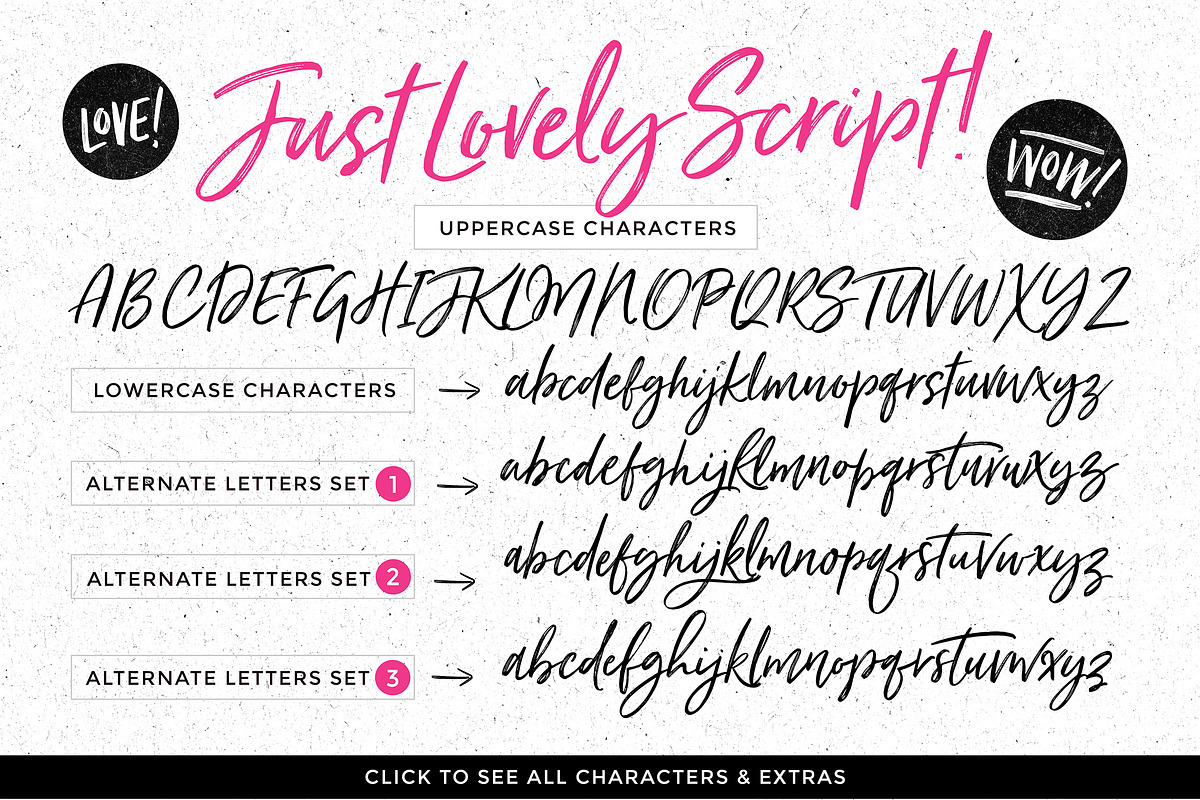 Just Lovely Font & Extras, a Script Font by Nicky Laatz (Photo 17 of 17)