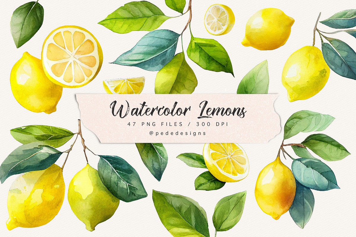 Watercolor Lemons, a Food Illustration by PeDe Designs (Photo 1 of 4)
