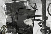 Mystic Botanical & Nature Relics, an Object Graphic by Natali Batu (Thumbnail 12 of 12)
