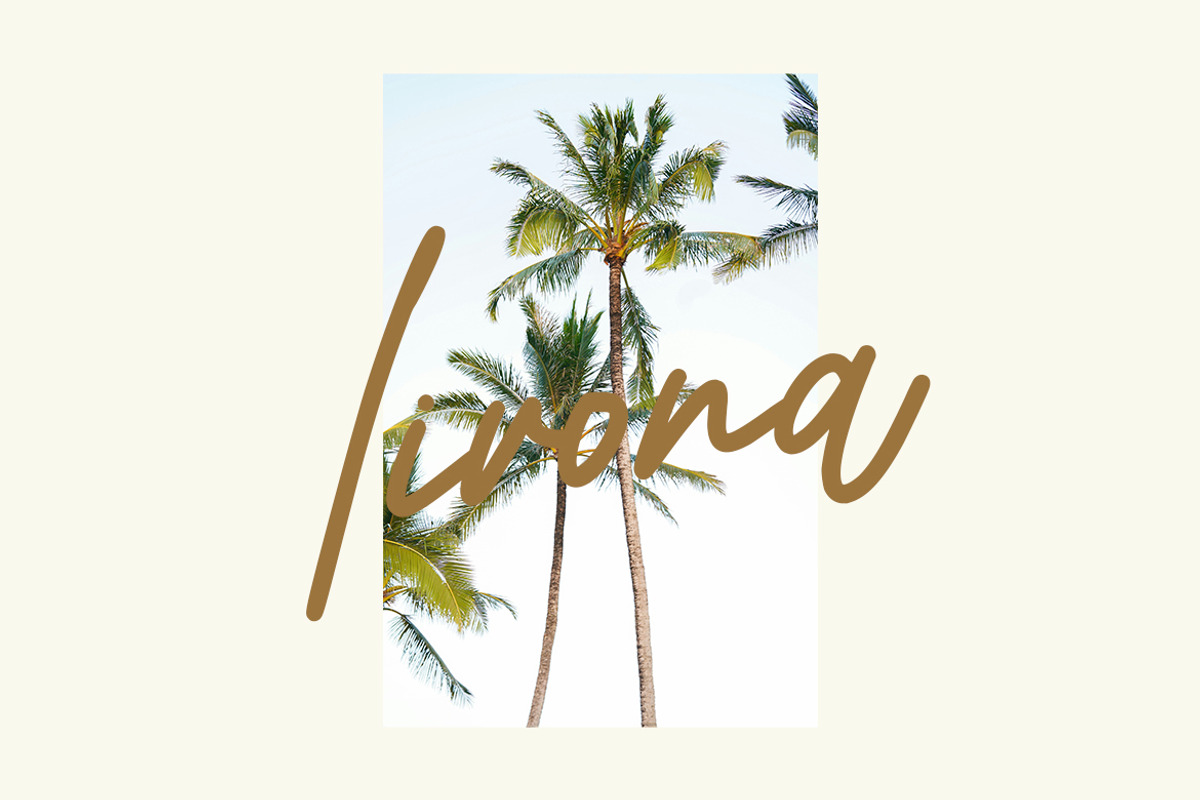 Bellina – Monoline Script Font, a Handwritten Font by MERCI STUDIO (Photo 4 of 8)