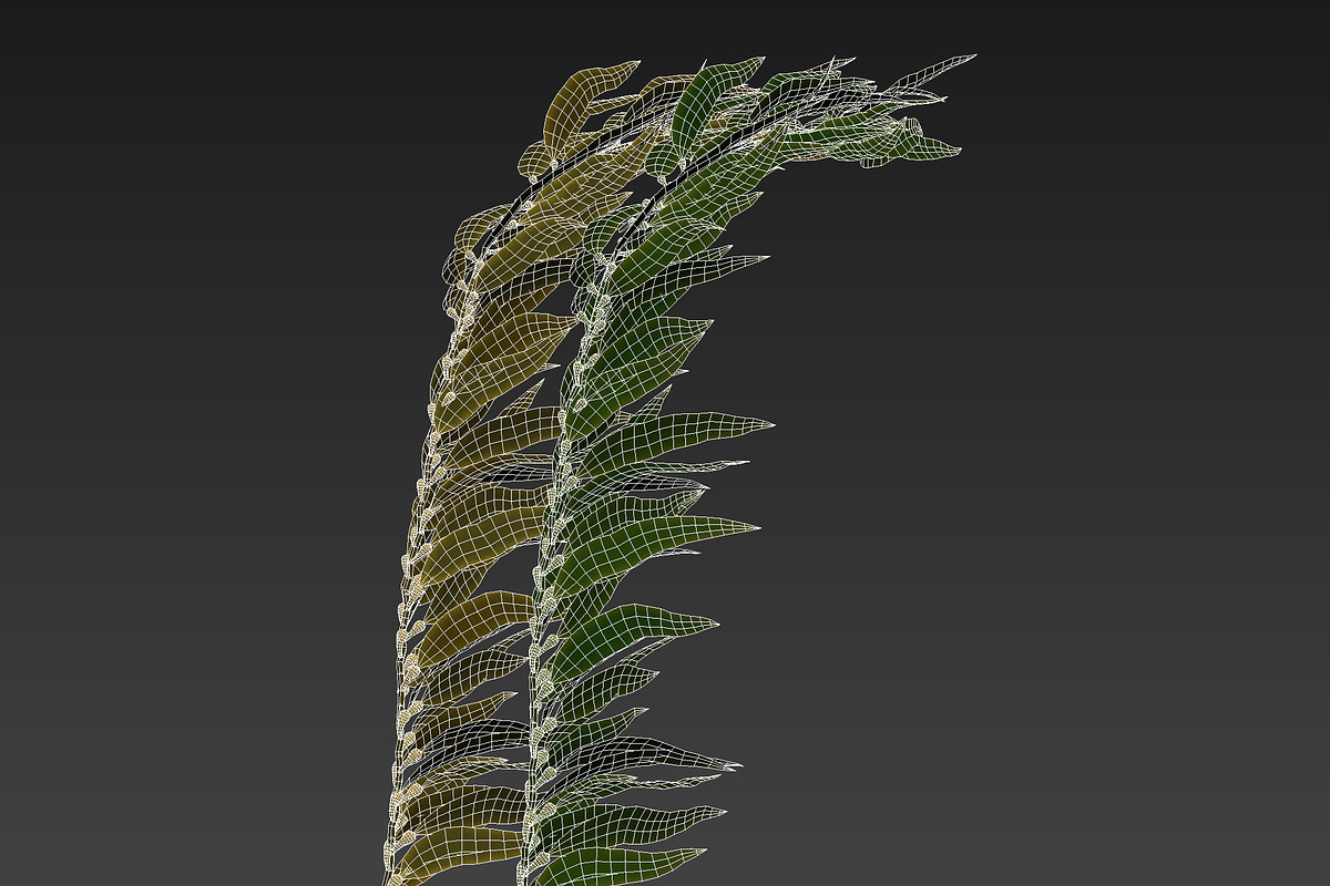 Kelp V2, an Environmental 3D Model by AndrewWhite (Photo 6 of 12)