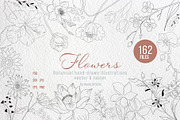 Flowers, an Illustration by AMMi (Thumbnail 1 of 5)