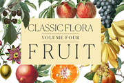 Botanical Illustrations -Fruit, an Illustration by BlackBird Foundry (Thumbnail 1 of 4)