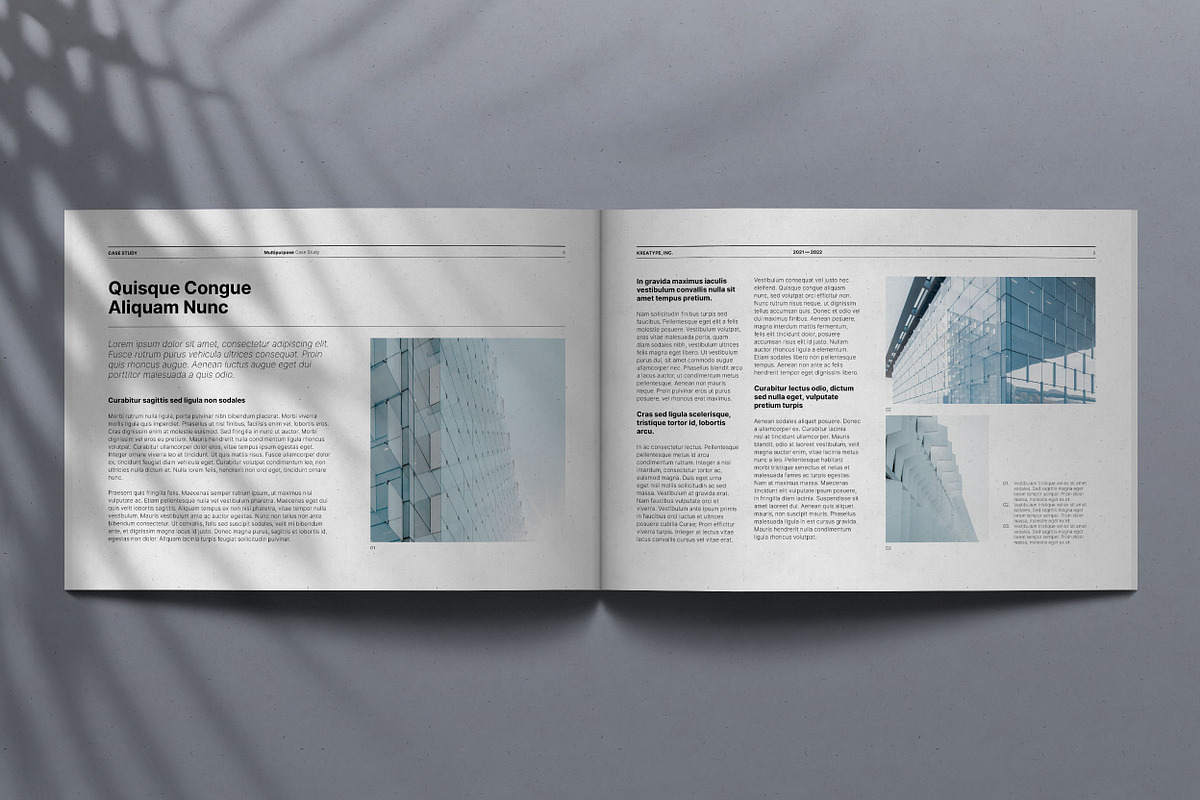 Kreatype Case Study, a Brochure Template by Kreatype Studio (Photo 5 of 17)