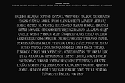 Everline - Luxury Serif Font Family, a Serif Font by VP Fonts (Thumbnail 14 of 22)