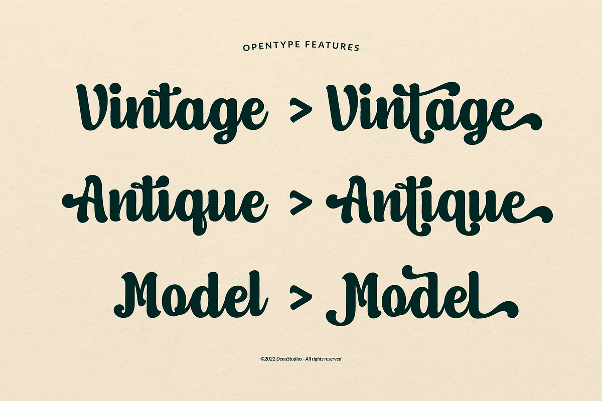 Moods Hitage | Retro Bold Script, a Handwritten Font by Denustudios (Photo 2 of 12)