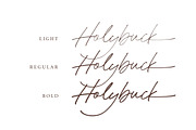 Holybuck - Signature Font Family, a Script Font by Sarid Ezra (Thumbnail 3 of 9)