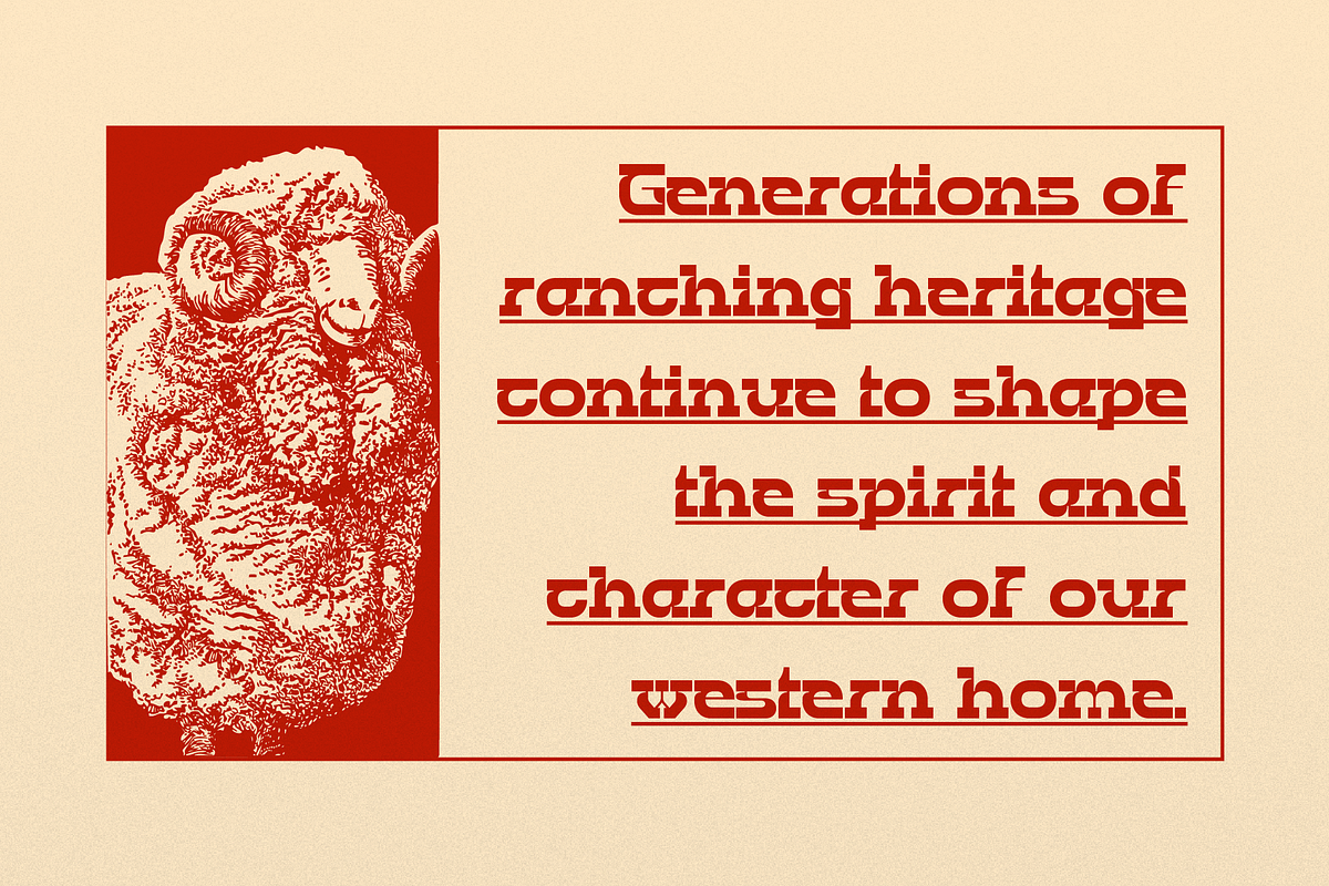 Bebop Rodeo | Western Slab Serif, a Slab Serif Font by gracetype_studio (Photo 5 of 12)