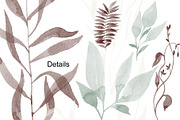 60 Watercolor brushes for photoshop., a Brush Add-On by TaPilipa (Thumbnail 4 of 5)