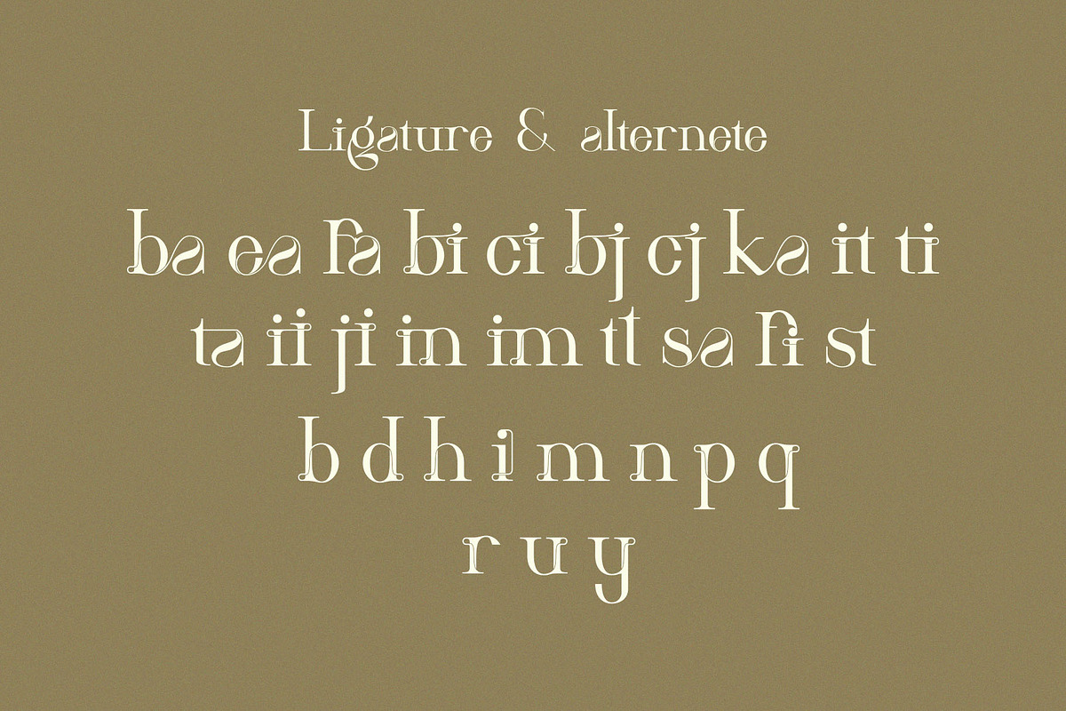 Hitocie Ligature Serif Typeface, a Serif Font by Humaira_std (Photo 11 of 12)