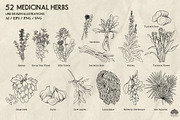 Medicinal Herbs part 2 + Procreate, a Healthcare Illustration by Skliarova (Thumbnail 3 of 6)