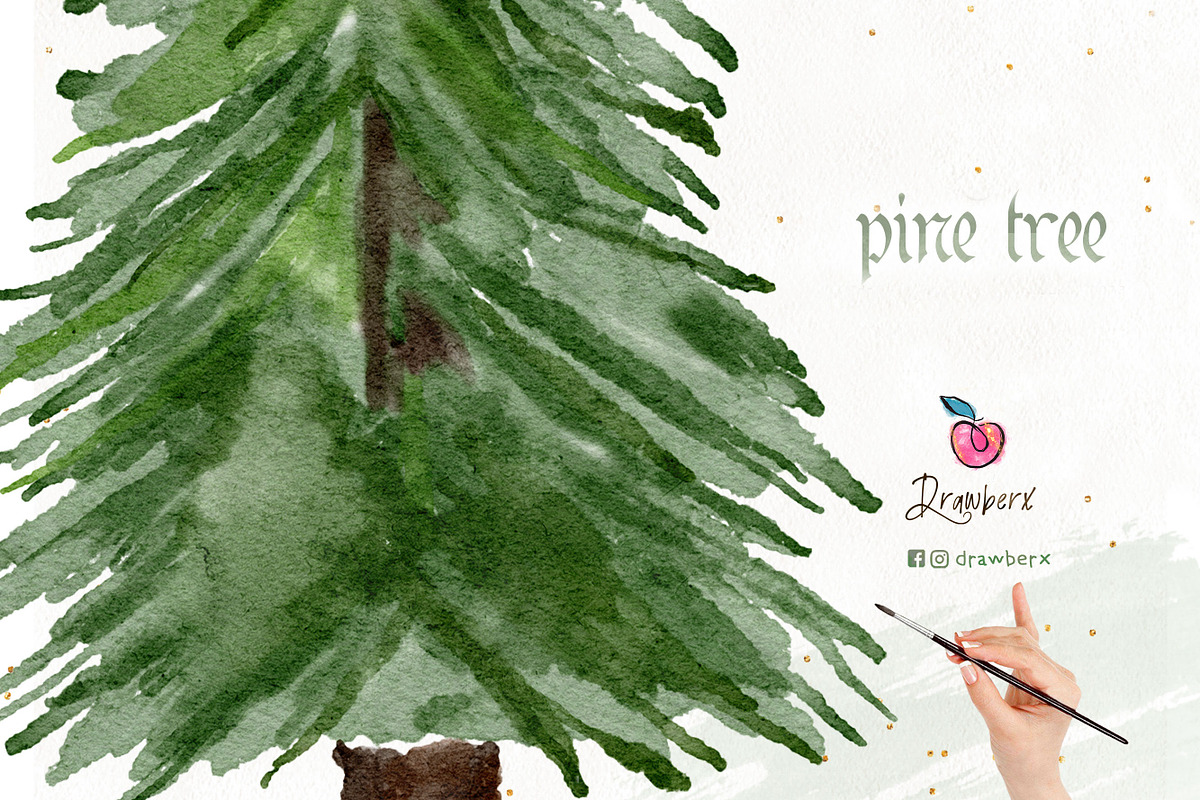 Pine Tree Clipart, Watercolor 109, an Illustration by Drawberx (Photo 2 of 9)