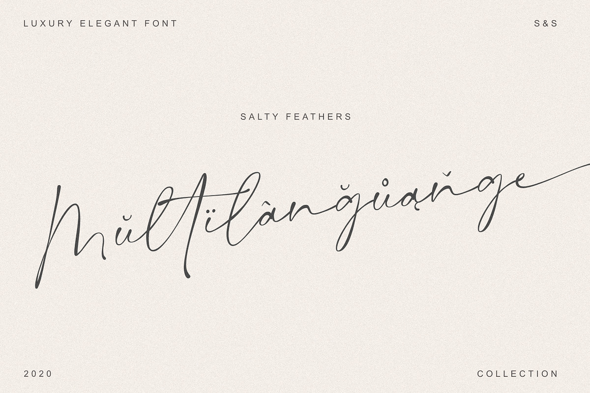 Salty Feathers - Modern Script, a Script Font by Sans & Sons (Photo 10 of 10)