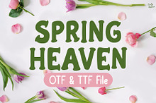 Spring Heaven | Handwritten Font